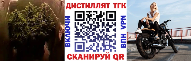 ТГК вейп с тгк  Купить где  Белозерск 